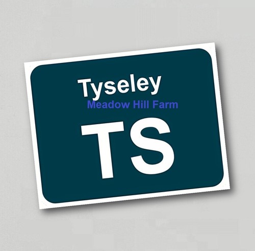Kühlschrankmagnet tyesley - kühlschrankmagnet, br