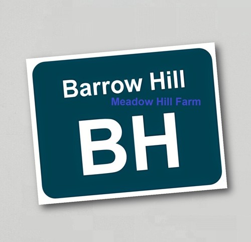Kühlschrankmagnet barrow hill - kühlschrankmagnet,