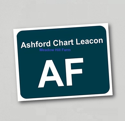 Kühlschrankmagnet ashford - kühlschrankmagnet,